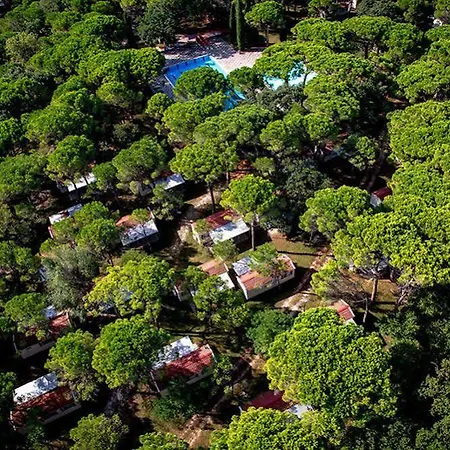 Belvedere Pineta Village Hotel 3*